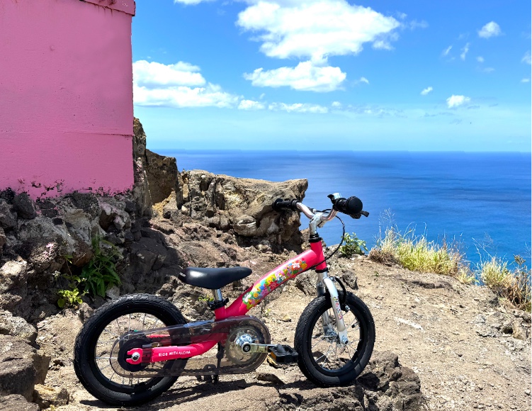 へんしんバイク公式 | Aloha 新発売 アート×自転車の新しいカタチ