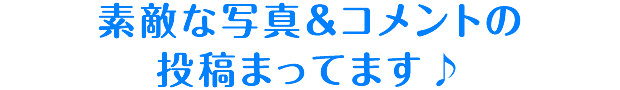 素敵な写真＆コメントの投稿まってます♪